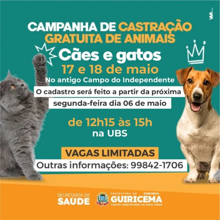 MUNICÍPIO PROMOVE NOVA CASTRAÇÃO GRATUITA DE ANIMAIS