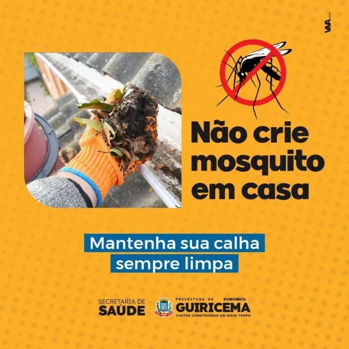 Dengue_Guiricema